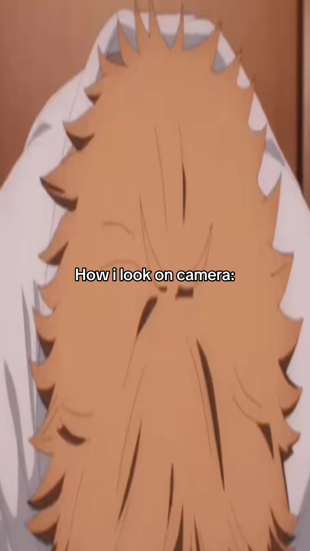 @Rib