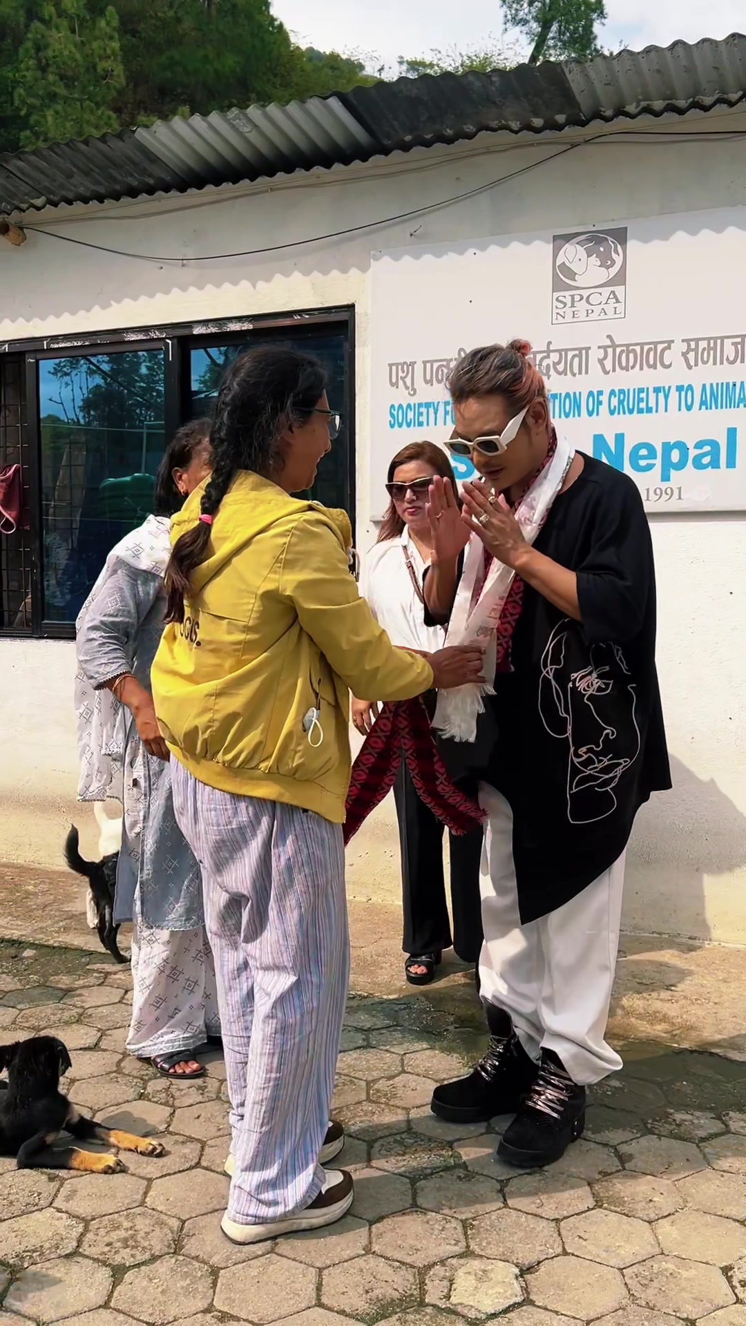 @pun somu