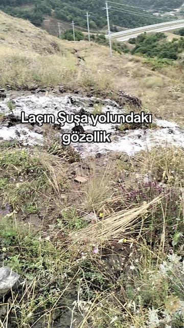 @Yegane.Laçınlı