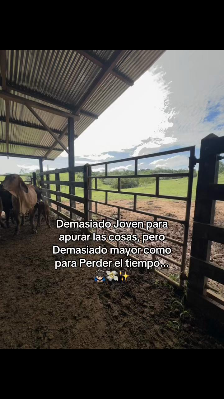 @Didier_🤠
