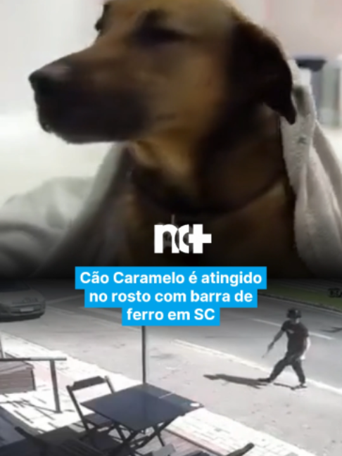 @portalndmais