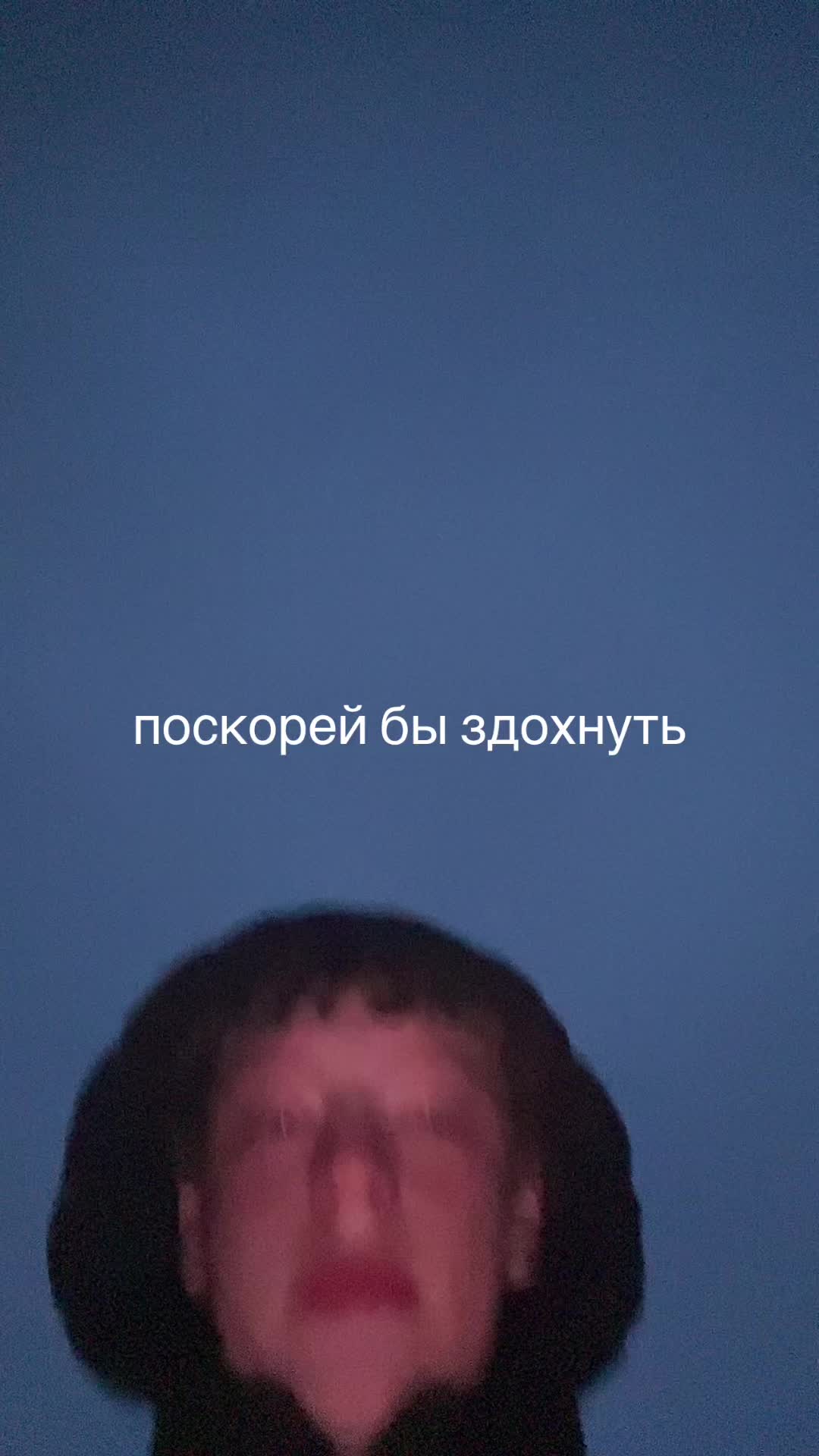 @sew1k