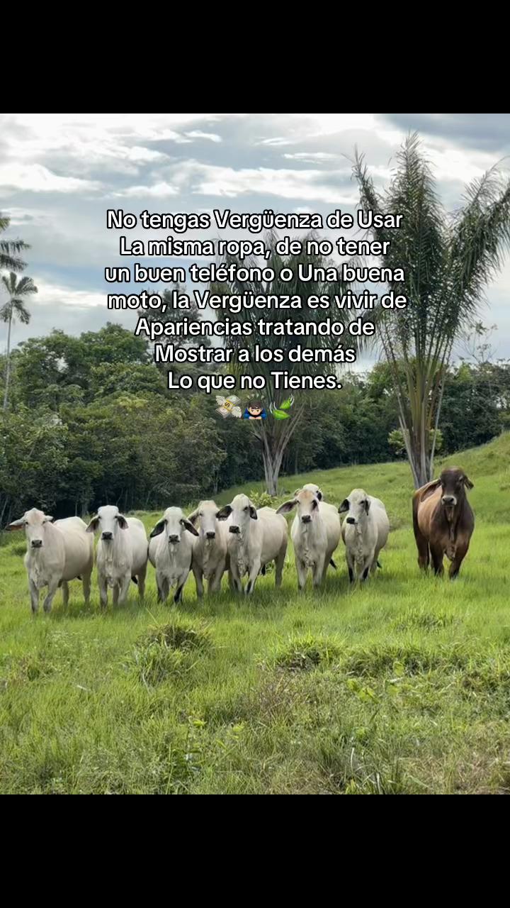 @Didier_🤠