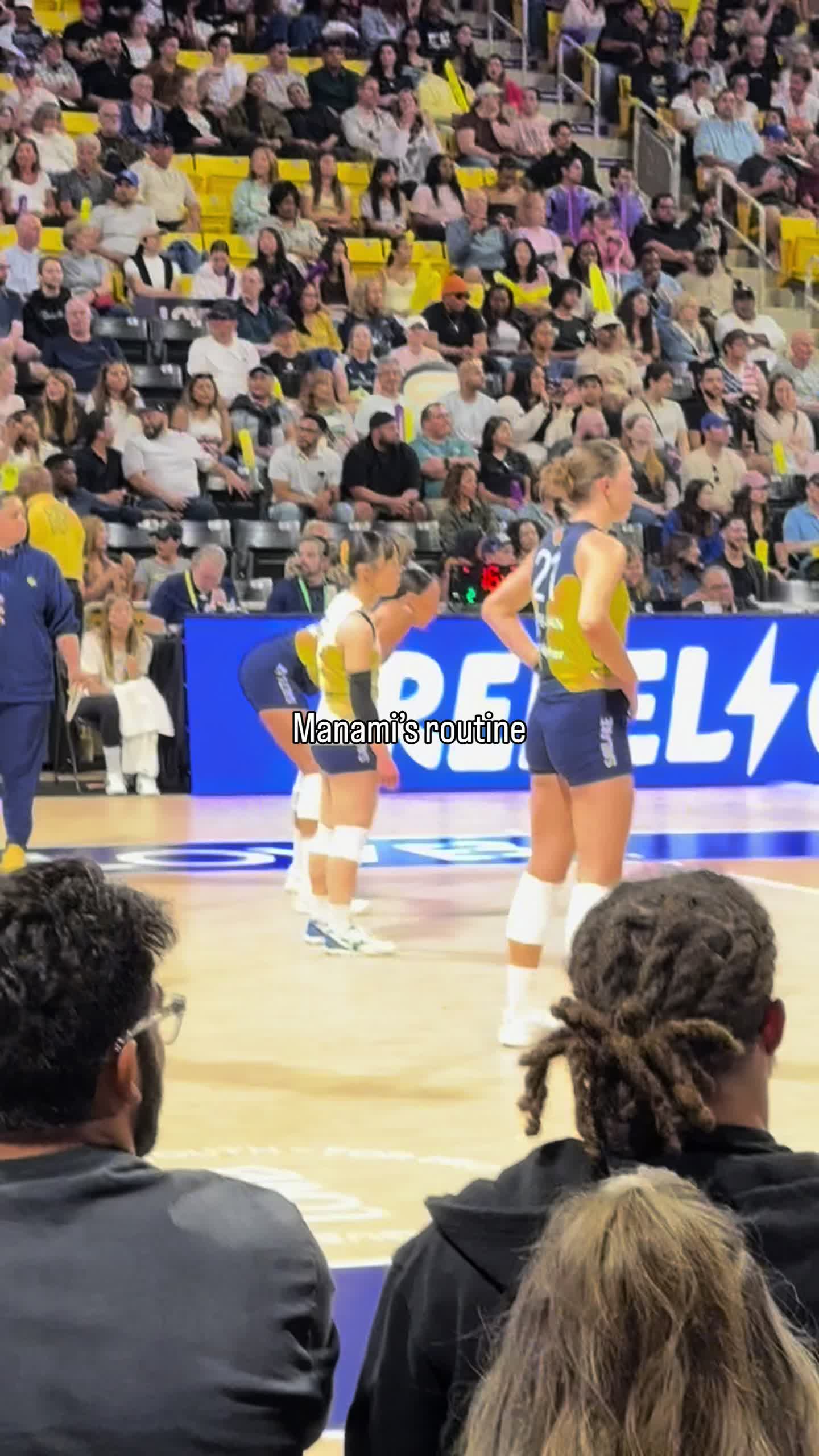 @Volleyverse
