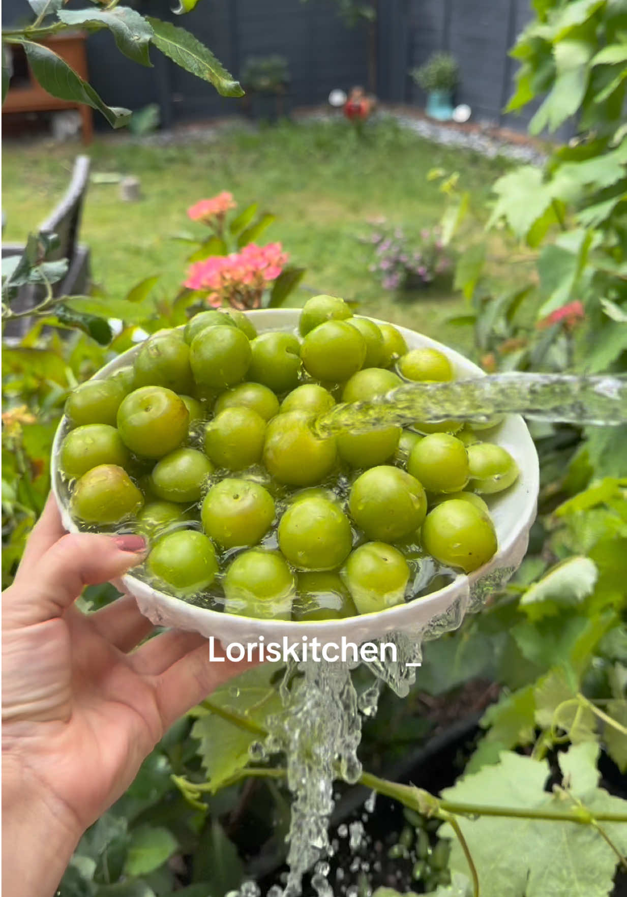 @Lori&rsquo;s Kitchen