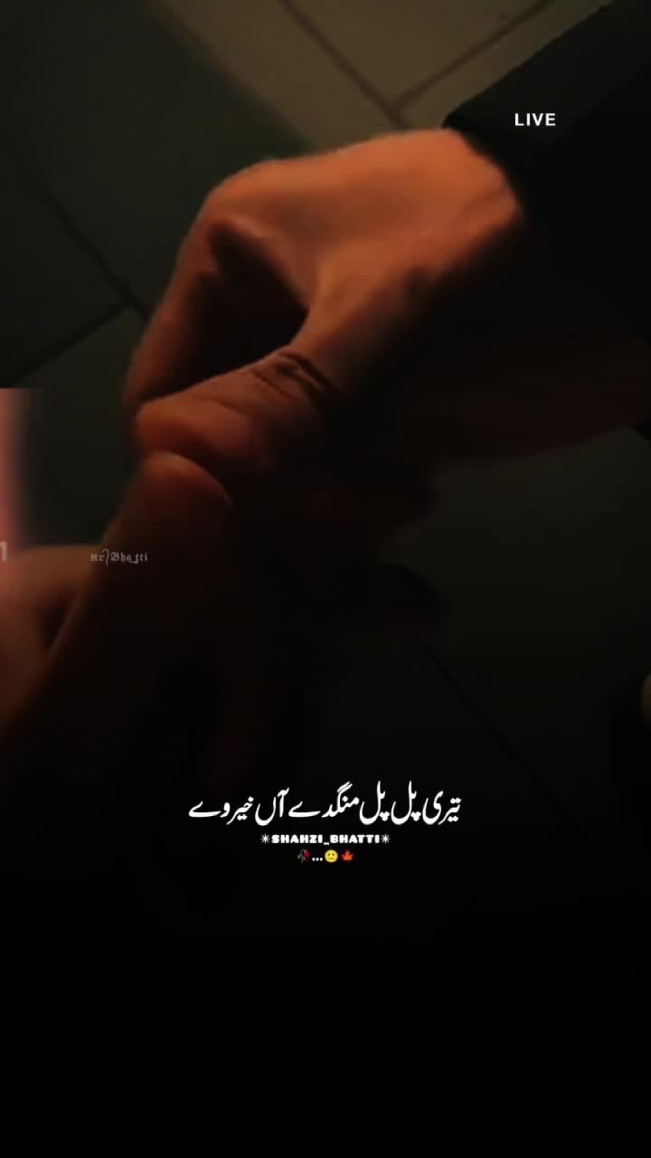 @iqman800