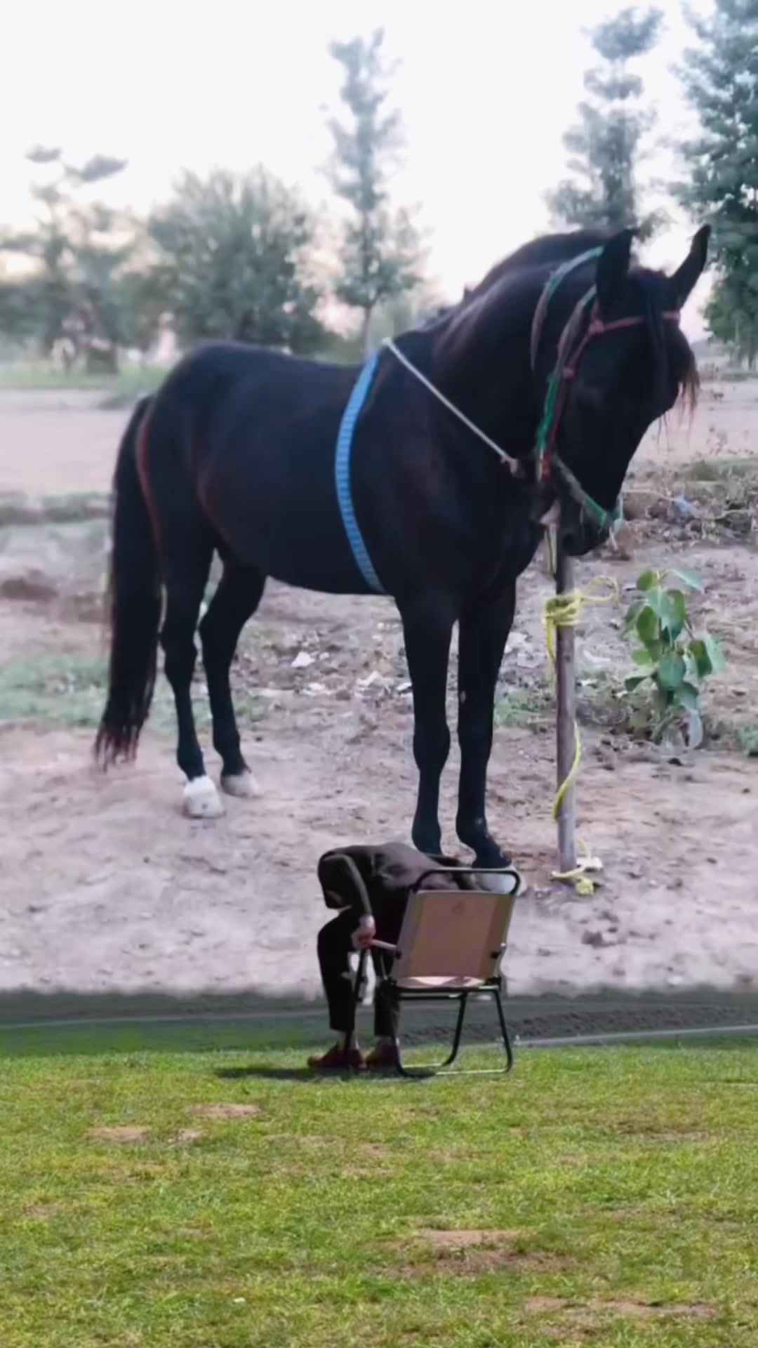 @&spades;️Mr Gill&spades;️