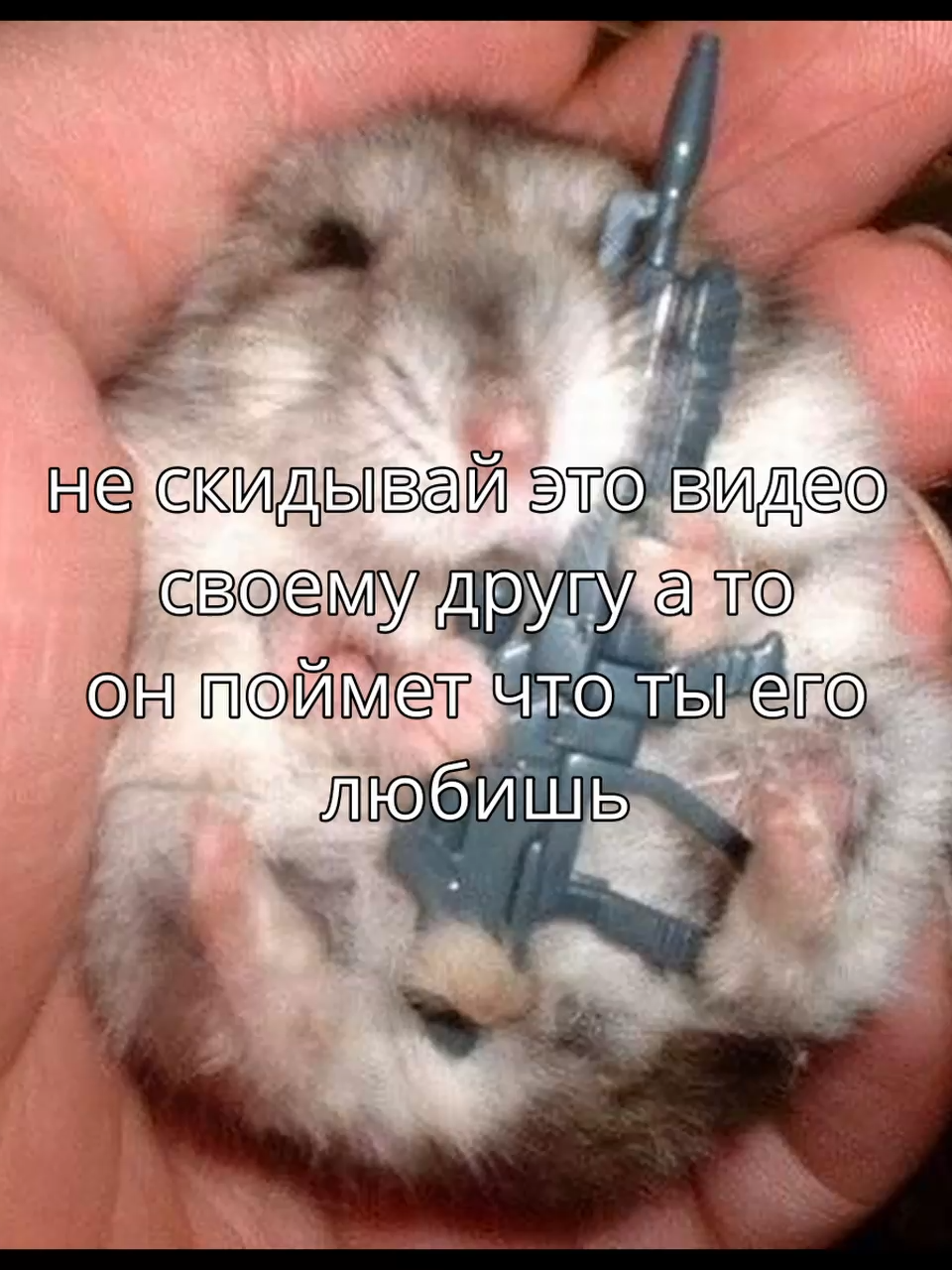@plplpl