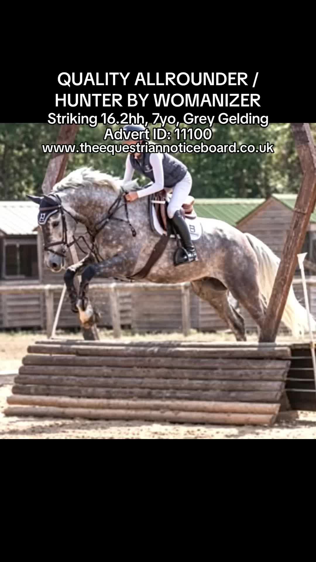 @theequestriannoticeboard