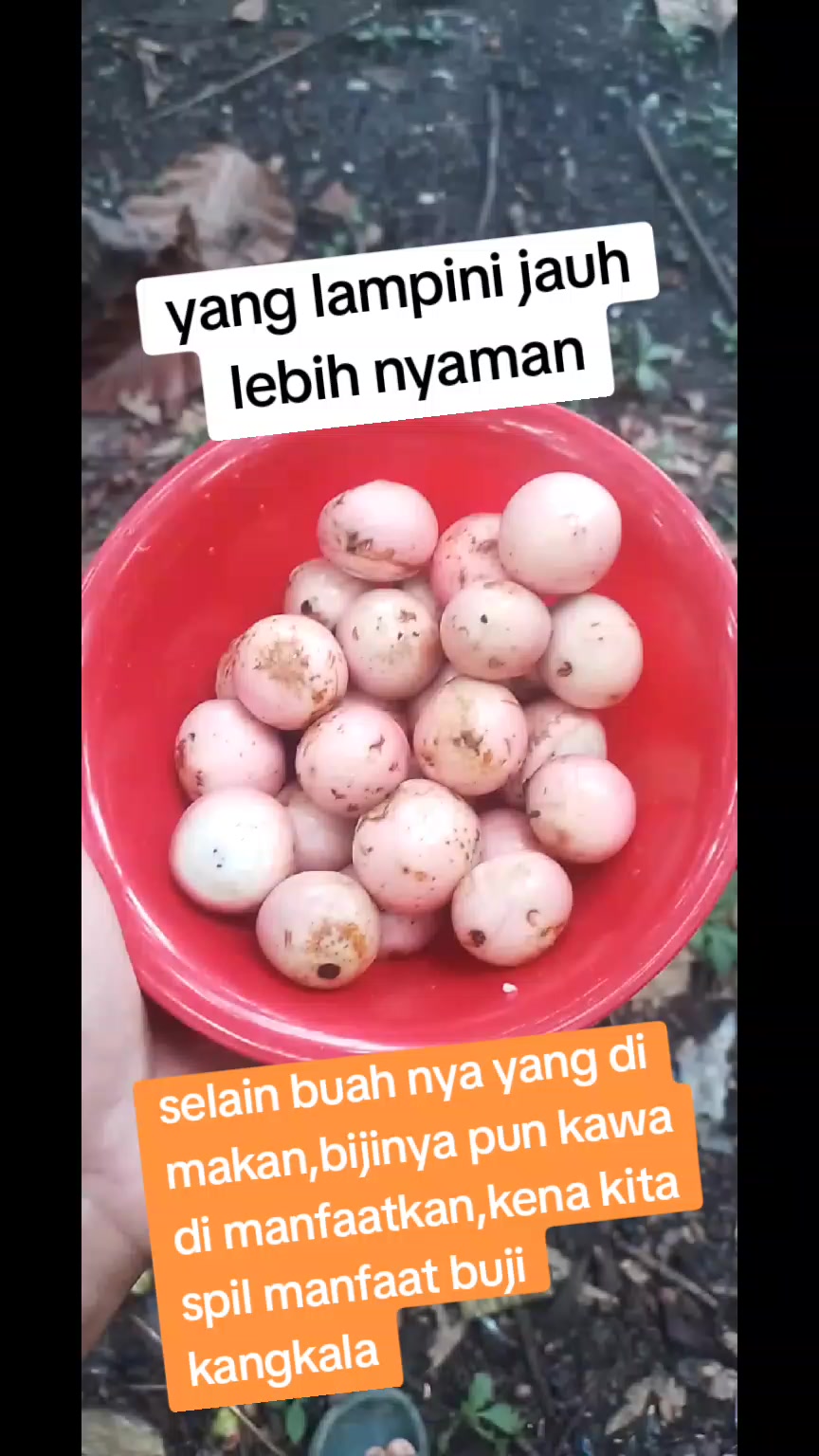 @icuy761
