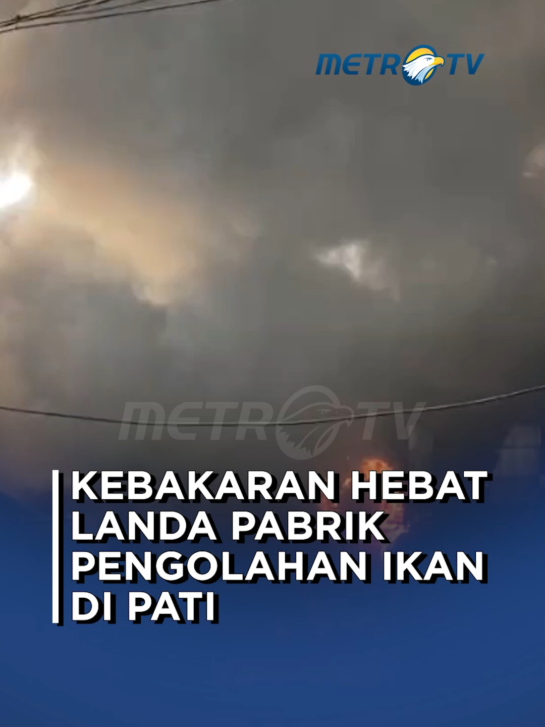 @Metro TV