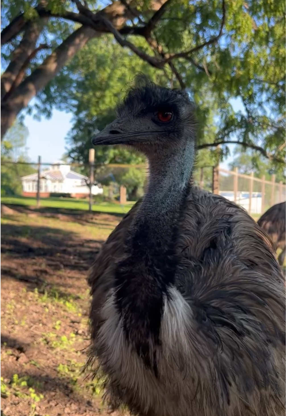 @Kitzman&rsquo;s Farm Sanctuary