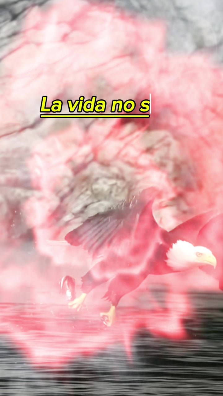 @Alejandro🐺te🦅motiva