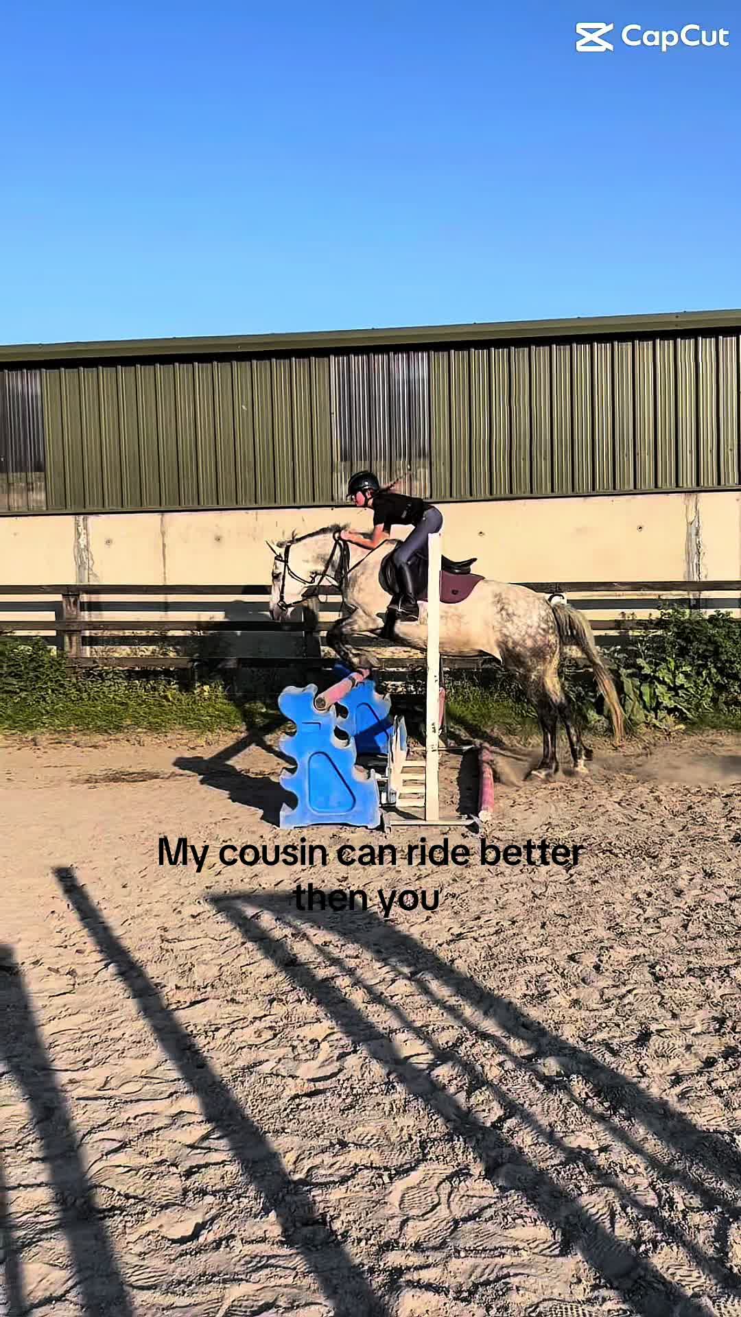 @aoibheann🪽