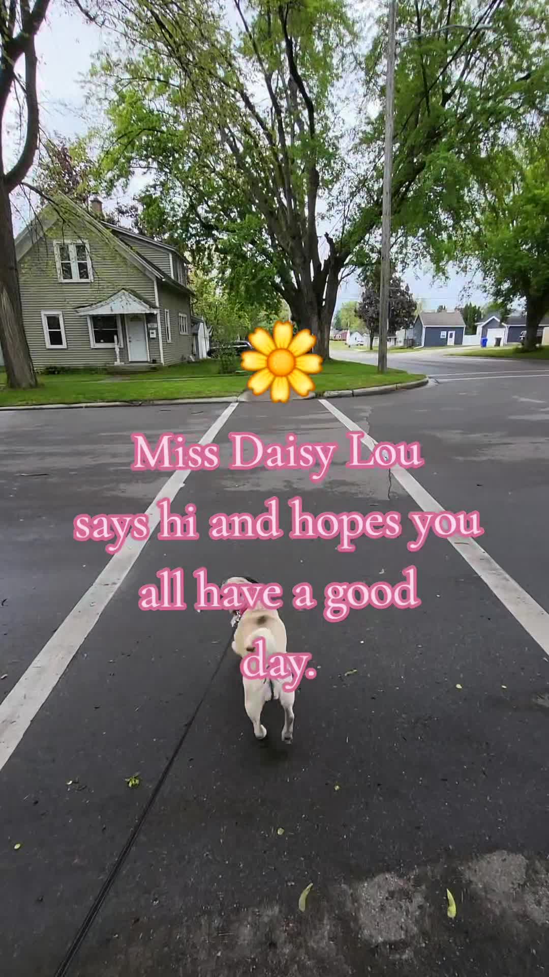 @💚🩷kellymarie117🩷💚