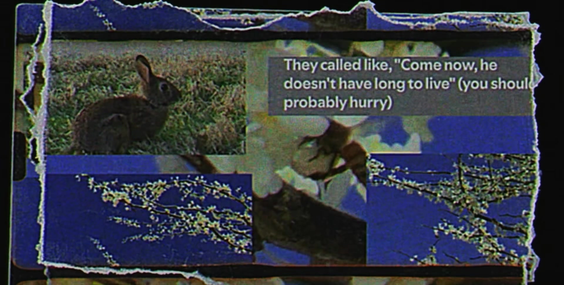 @anthonyincoming
