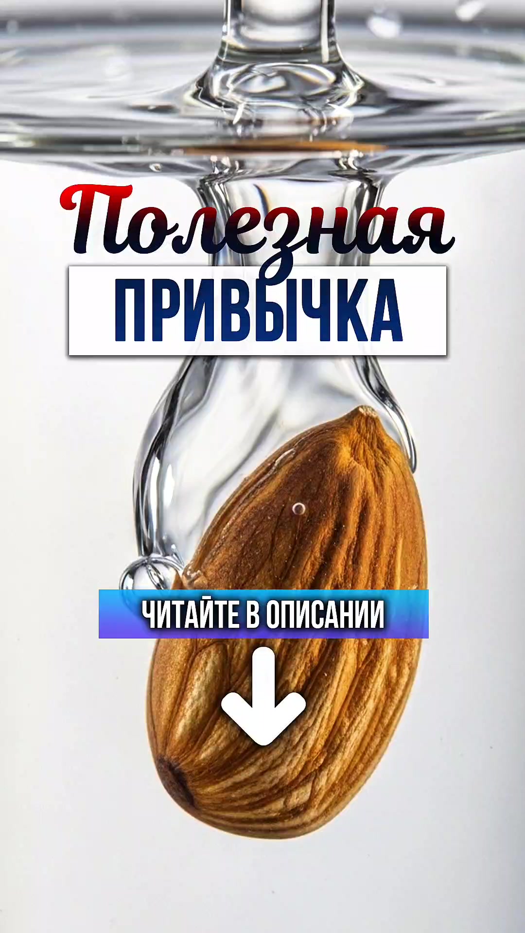@ЗОЖнавигатор