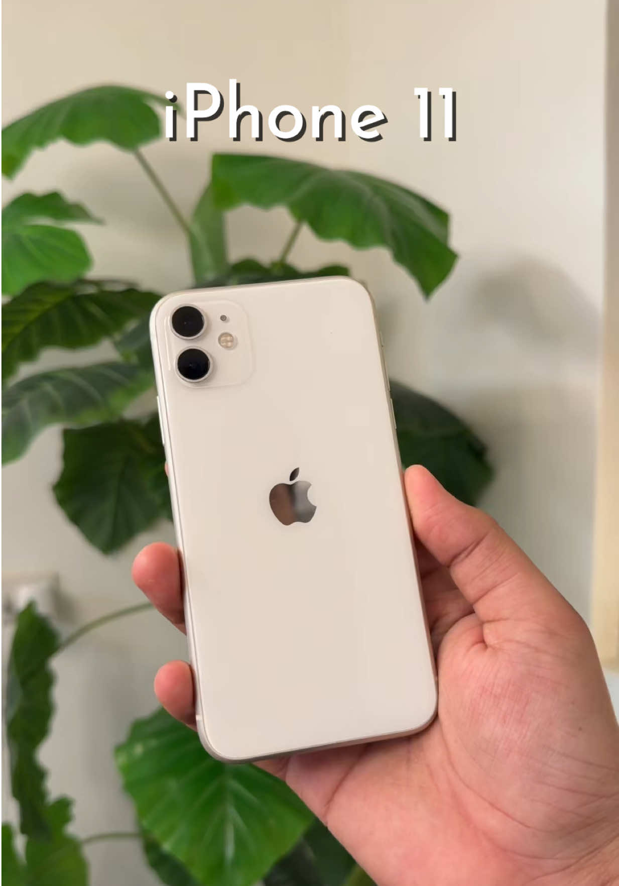 @iPhonary 🩷