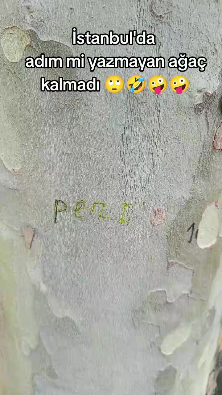 @๐ซ๐น๐ท PARI ๐ค ๐น๐ท๐น๐ท