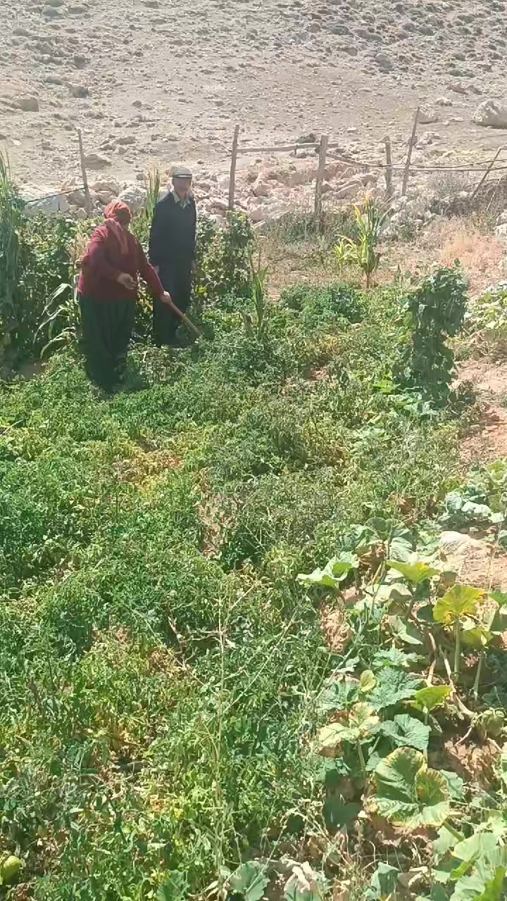 @DAĞCI.46