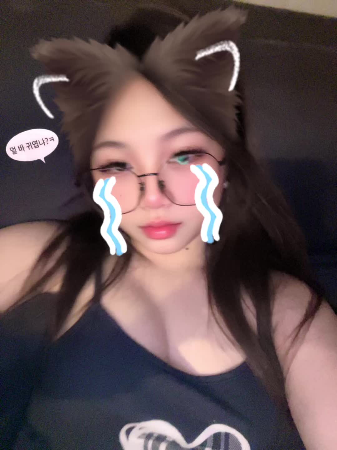 @≽^• ˕ • ྀི≼