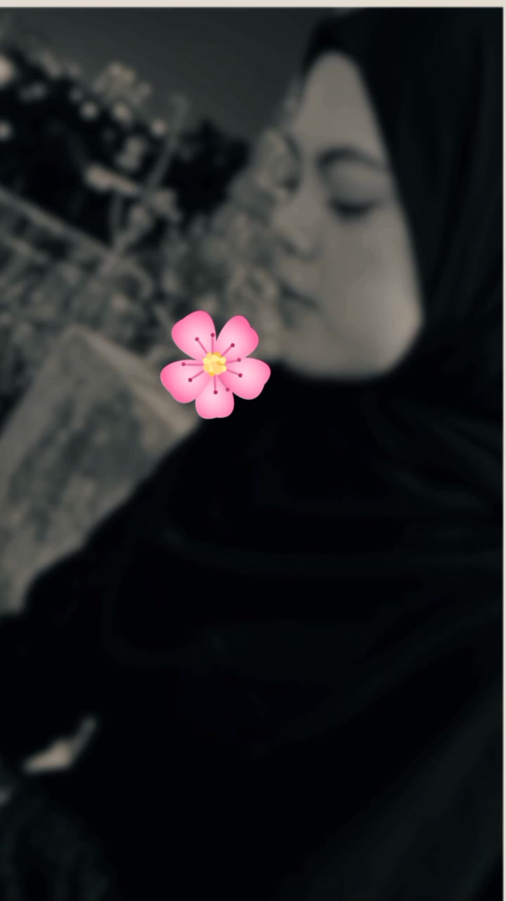 @🇲🇨🇵🇸 Mawar Merah 🌹