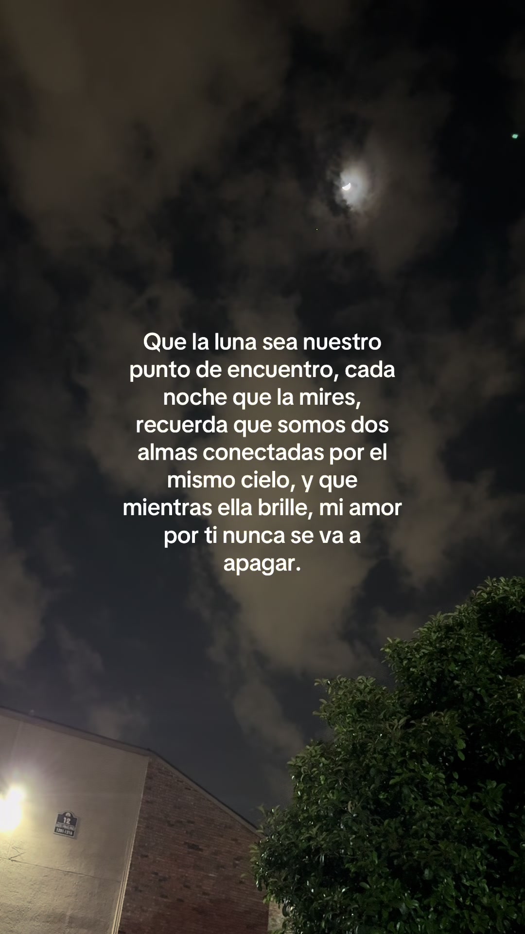 @🌻✨𝐸𝐿𝐼𝒵𝒜𝐵𝐸𝒯𝐻✨🌻