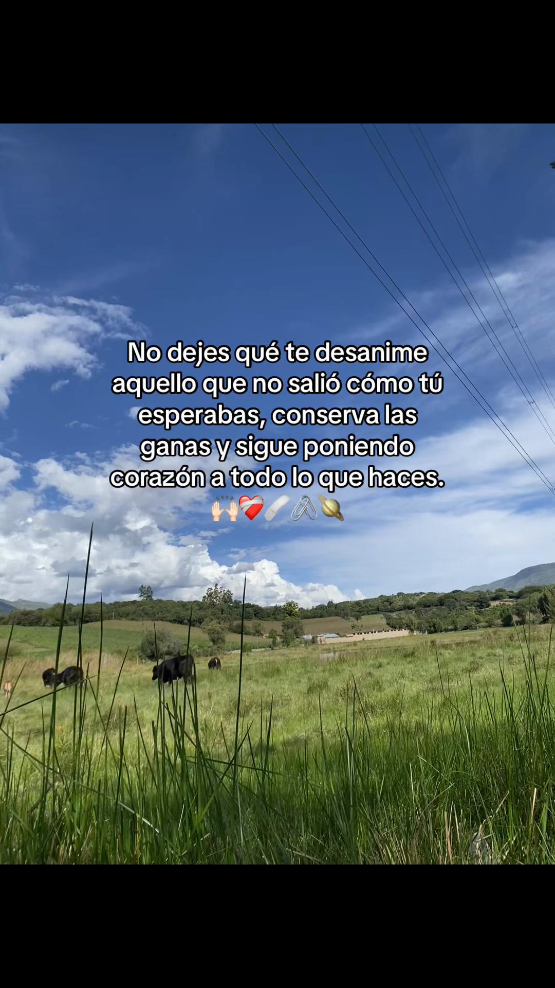 @Brayan11❤️🐢