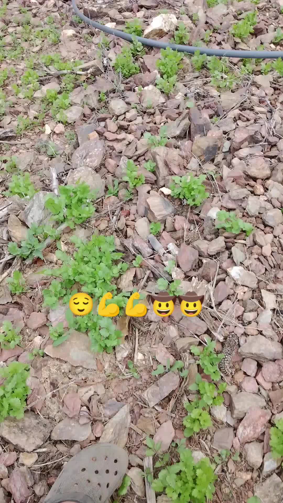 @Santos Aquino