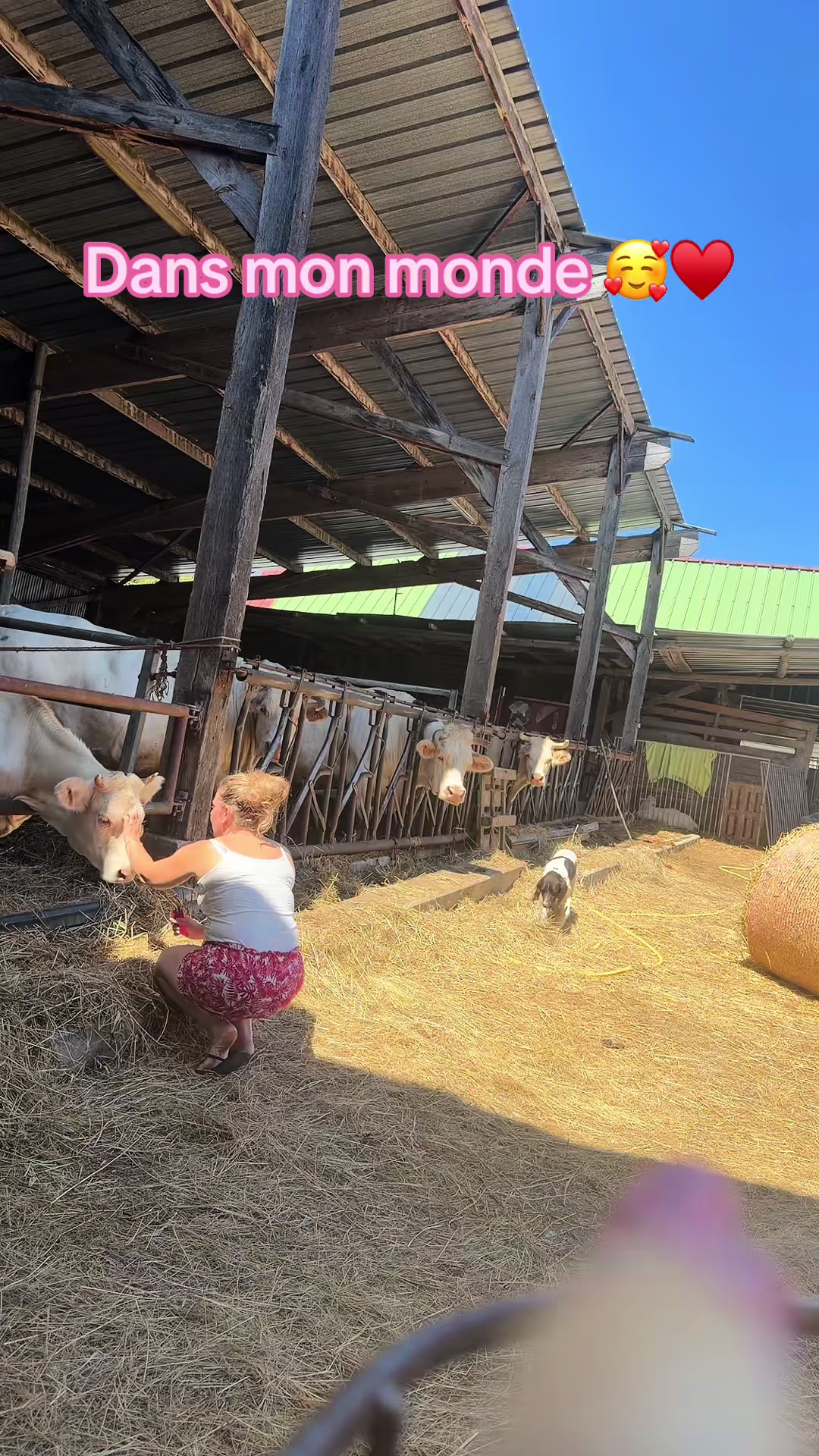 @ᏦᎥᎥᏦᏗᏗ 🌾🚜🐮