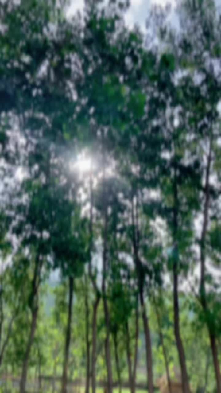 @shazaibkhan