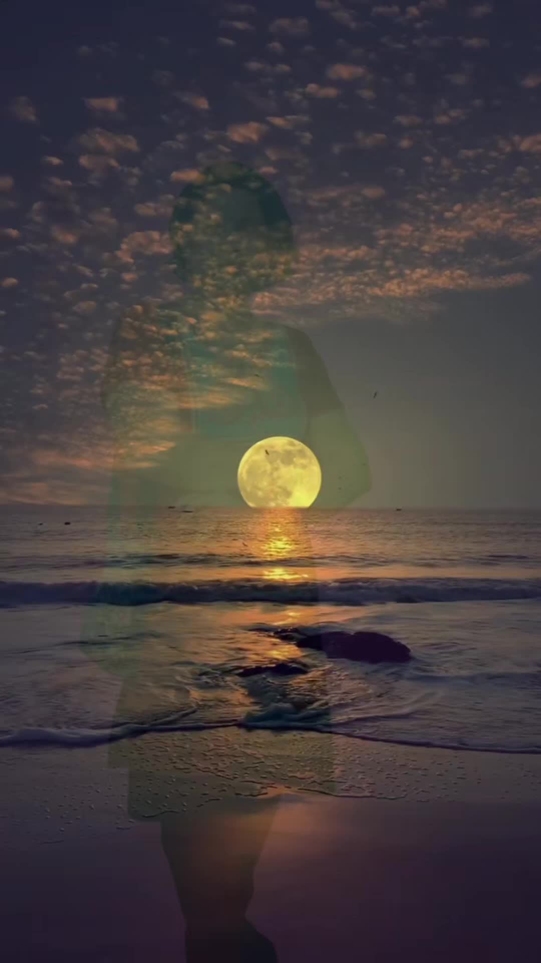 @kshan87