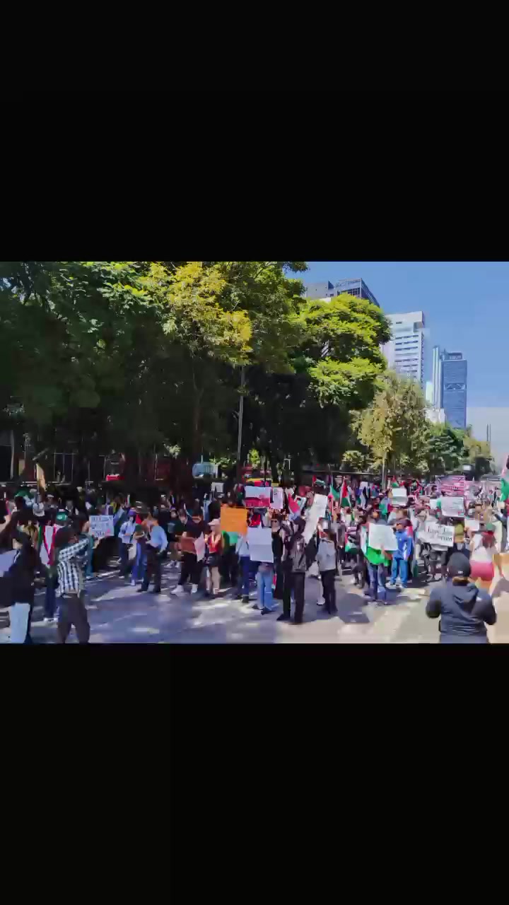 @Amiga Mágica