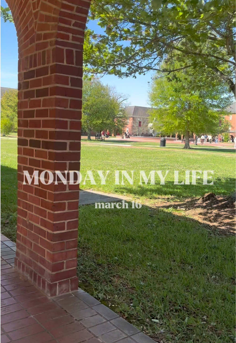 @Reagan Atchison🌷