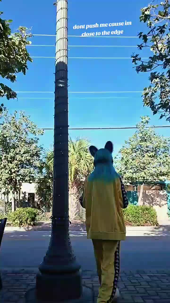 @blankface