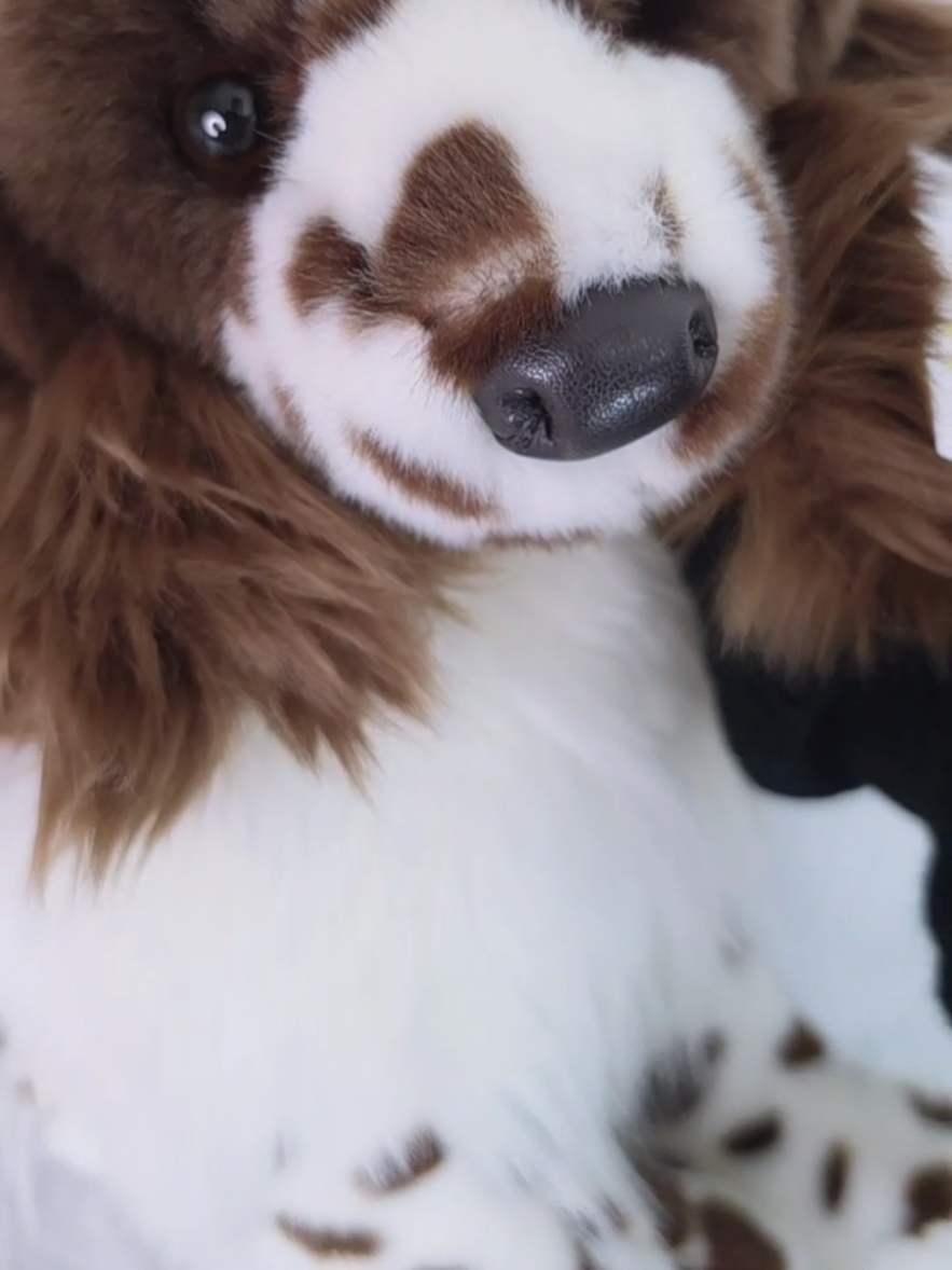 @TreasureDenPlush