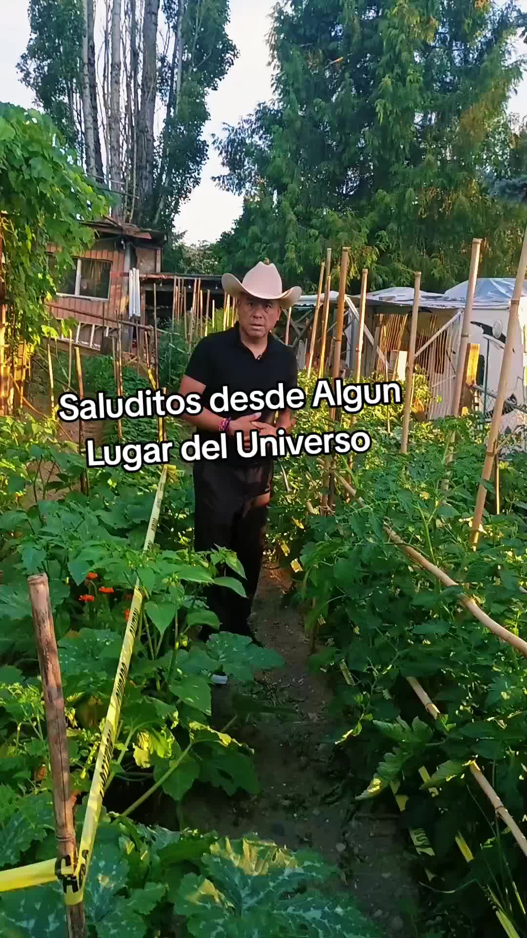 @La NetadelPayaso