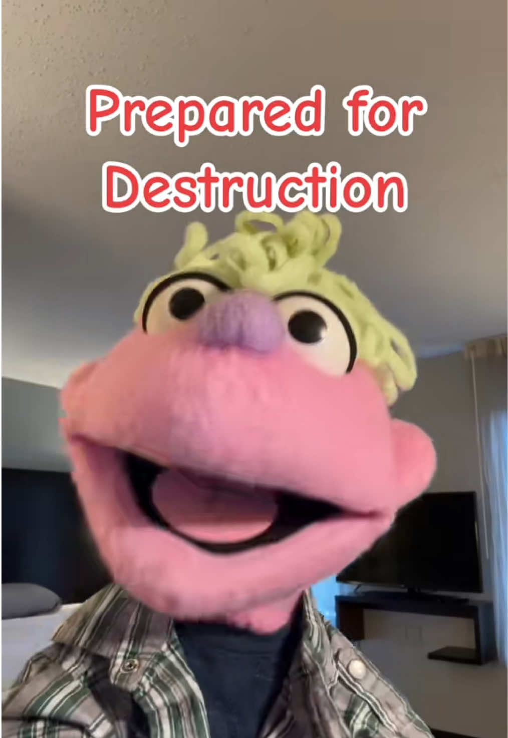 @𝘋𝘪𝘯𝘹 𝘵𝘩𝘦 𝘗𝘶𝘱𝘱𝘦𝘵
