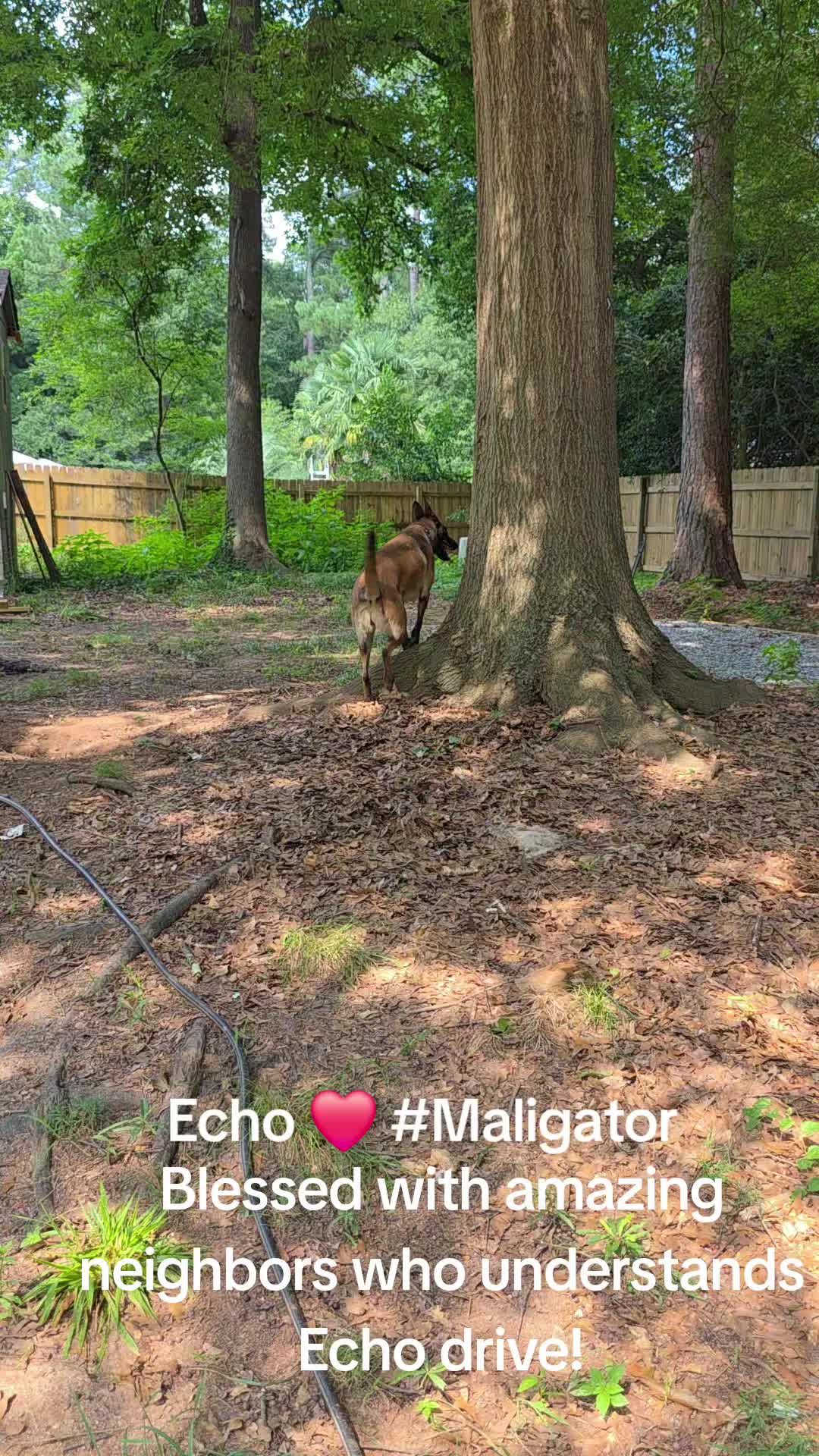 @Echo!