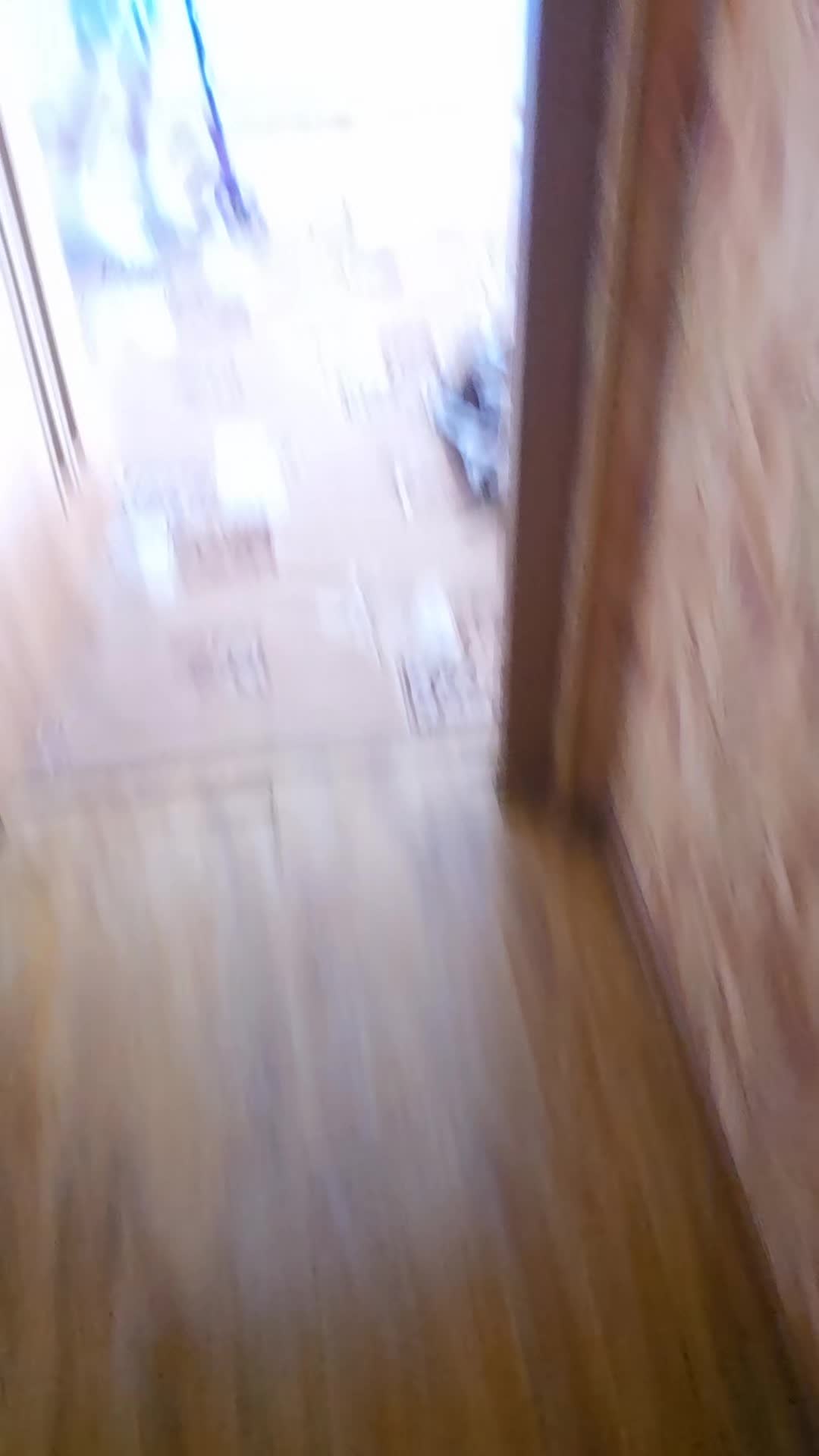 @zerga