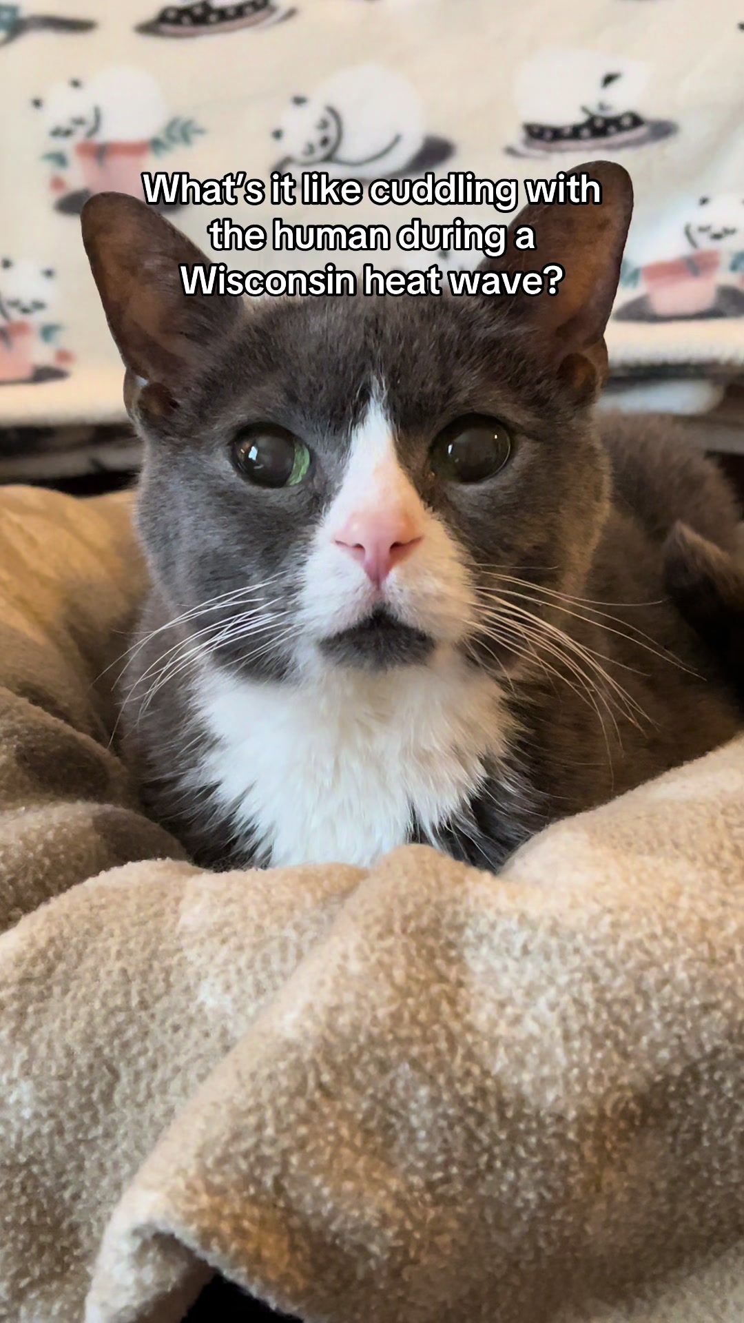 @Trixie the Tuxie