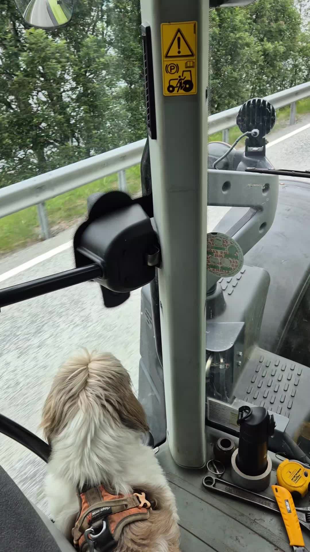 @Håkon Viddal