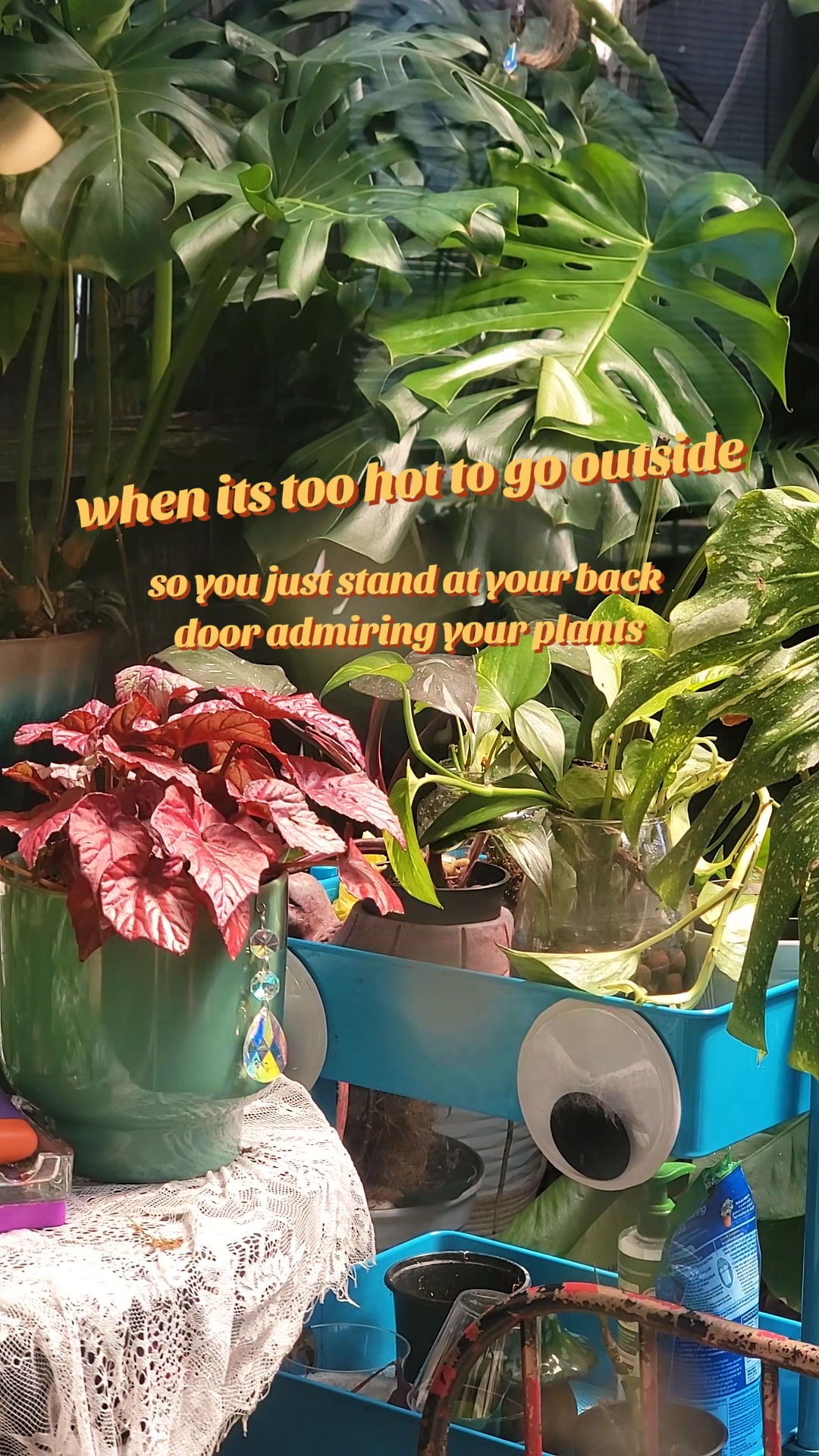 @✨️🌱lisa&bull;lila🌱✨️