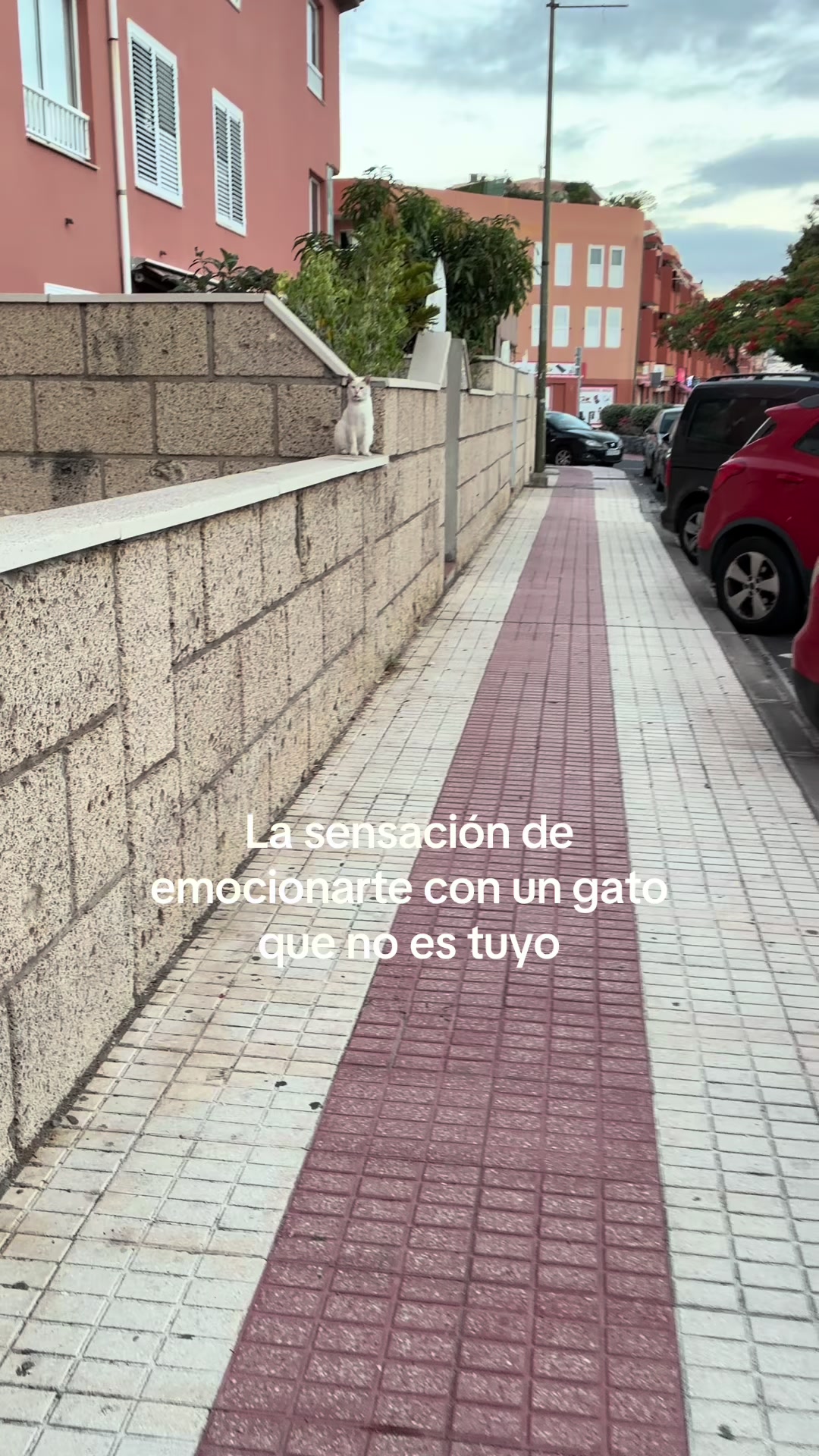 @leacurbelo