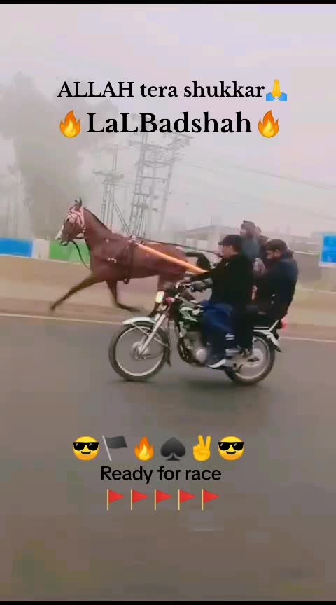 @Badshah-Gujjar