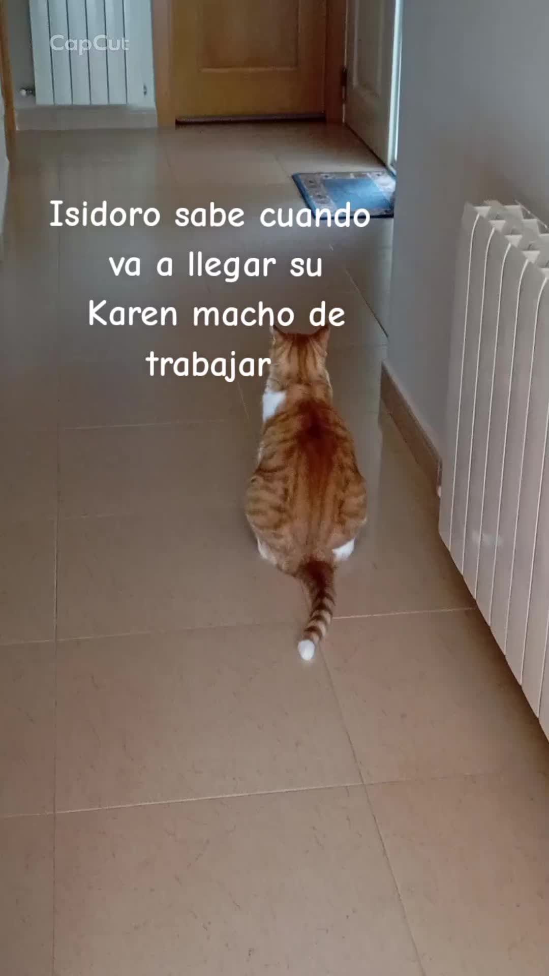 @Rosi Ramos