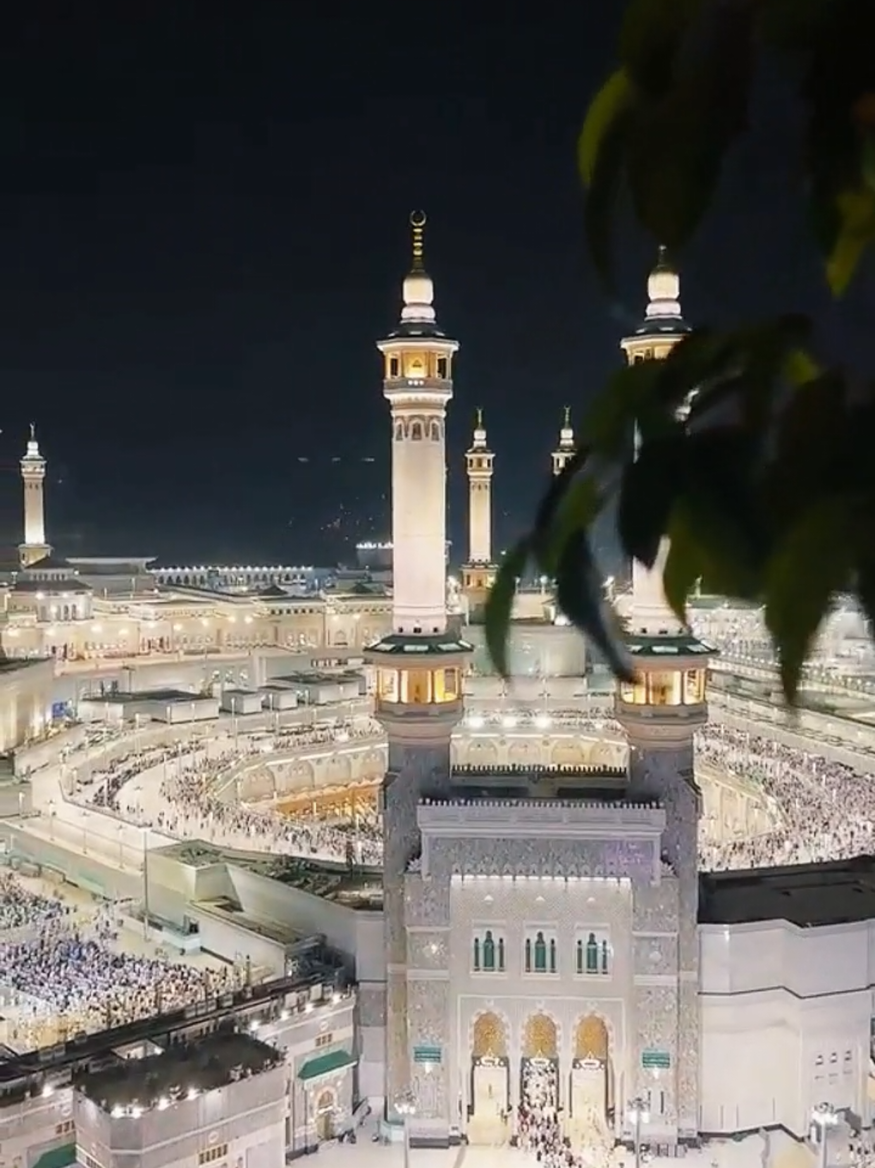 @MD SHOFIQUL ISLAM KHAN