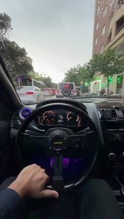 @967🖤🐊
