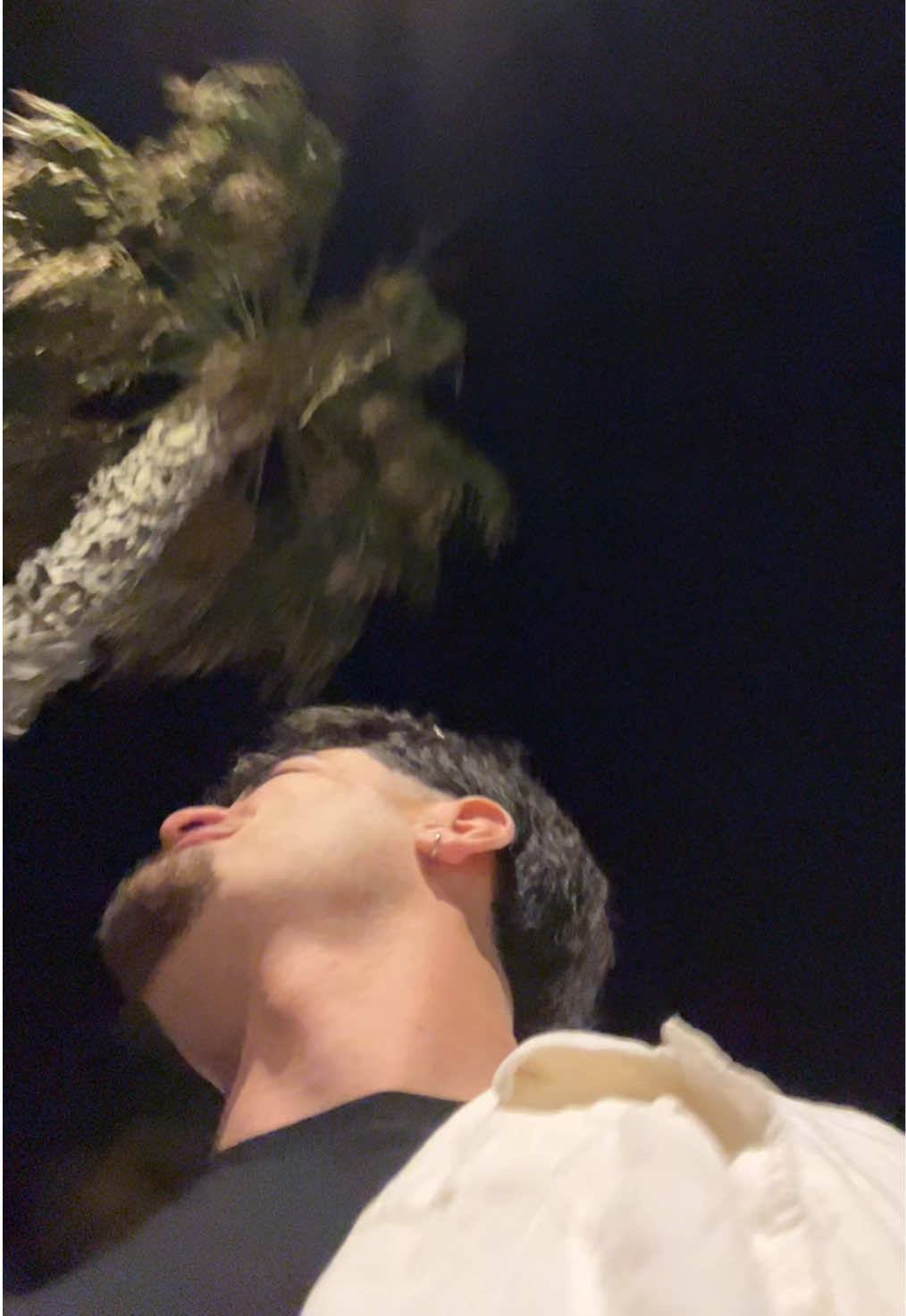 @Lucas🦅