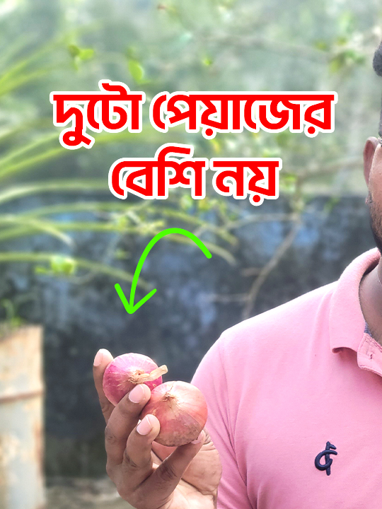 @Alamgir Hossain